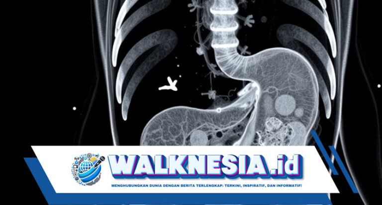 Cara Efektif Hilangkan Lemak Perut dalam Satu Minggu