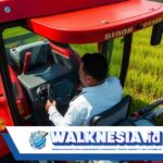 Modernisasi Pertanian Papua: Menhan Prabowo Kendalikan Combine Harvester di Hamparan Padi Merauke