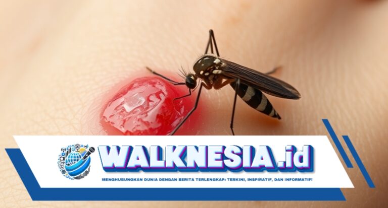 Waspadai Ciri-Ciri Gigitan Nyamuk Aedes Aegypti, Pemicu Demam Berdarah