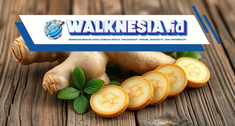 Manfaat Kencur untuk Kecantikan: Solusi Alami yang Sayang Dilewatkan