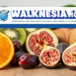 Empat Buah Kaya Kalsium yang Baik untuk Kesehatan Tulang dan Tubuh