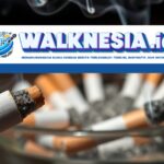 Mengungkap Fakta di Balik Rokok dan Dampaknya bagi Kesehatan