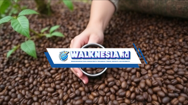 Mengungkap Potensi Kopi Sumatera Utara: Dari Petani Lokal ke Pengakuan Global