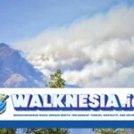 Kebakaran Hutan Gunung Rinjani Masih Belum Padam hingga Kamis Sore