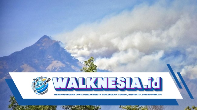 Kebakaran Hutan Gunung Rinjani Masih Belum Padam hingga Kamis Sore