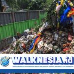 Jakarta Berlakukan Retribusi Sampah Mulai 2025, Simak Cara Menghindarinya