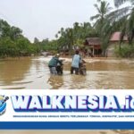 Banjir Merendam Empat Desa di Aceh Barat, Warga Terpaksa Mengungsi