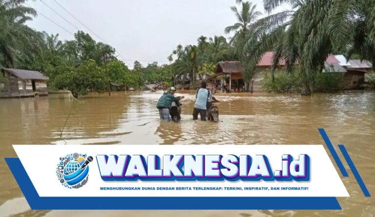 Banjir Merendam Empat Desa di Aceh Barat, Warga Terpaksa Mengungsi