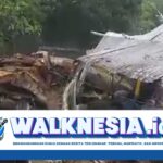 Tragedi Mengerikan di Situs Budaya Soppeng: Sembilan Pengunjung Tewas Tertimpa Pohon