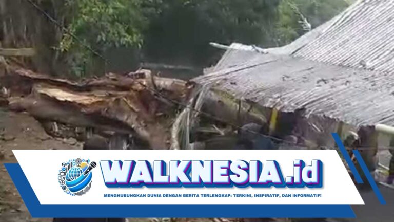 Tragedi Mengerikan di Situs Budaya Soppeng: Sembilan Pengunjung Tewas Tertimpa Pohon