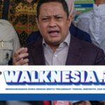 Kuasa Hukum Tom Lembong Laporkan Dua Saksi Ahli ke Polda