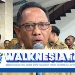 Wamendagri: Tujuh Petugas Meninggal Dunia Selama Pilkada 2024