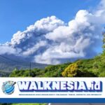 Gunung Lewotobi Meletus, Tim Pemantau Terpaksa Dievakuasi