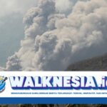 Bandara Komodo Labuan Bajo Ditutup Karena Erupsi Gunung Lewotobi