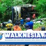 Tiga Penumpang Tewas dalam Kecelakaan Bus di Palopo