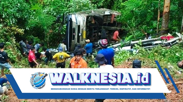 Tiga Penumpang Tewas dalam Kecelakaan Bus di Palopo